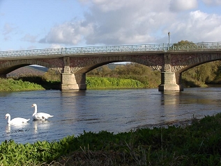 Zwei Schwäne auf der Fulda vor der Mecklarer Brücke